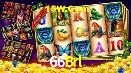 Flash Promotion 66Brl